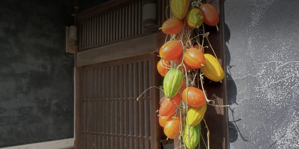 玄関先に吊るされた烏瓜