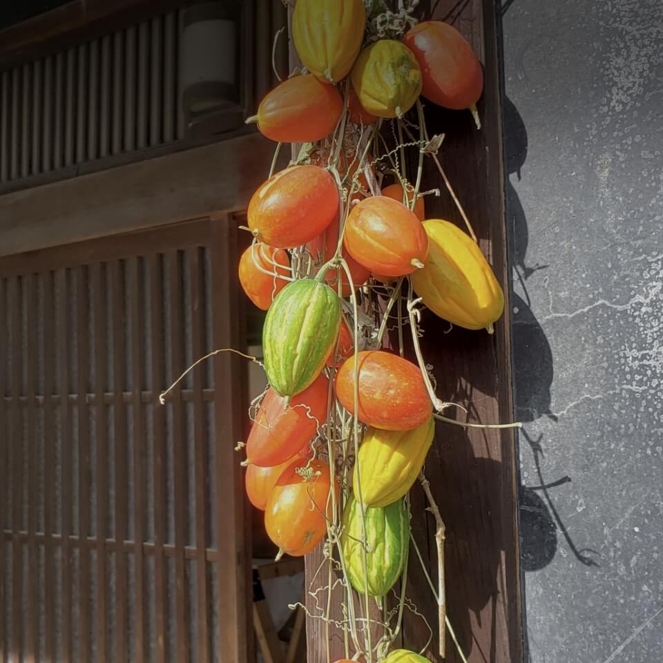 玄関先に吊るされた烏瓜